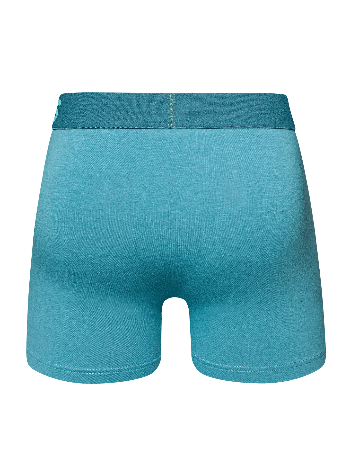 IJsberg blauwe herentrunks - Image 3