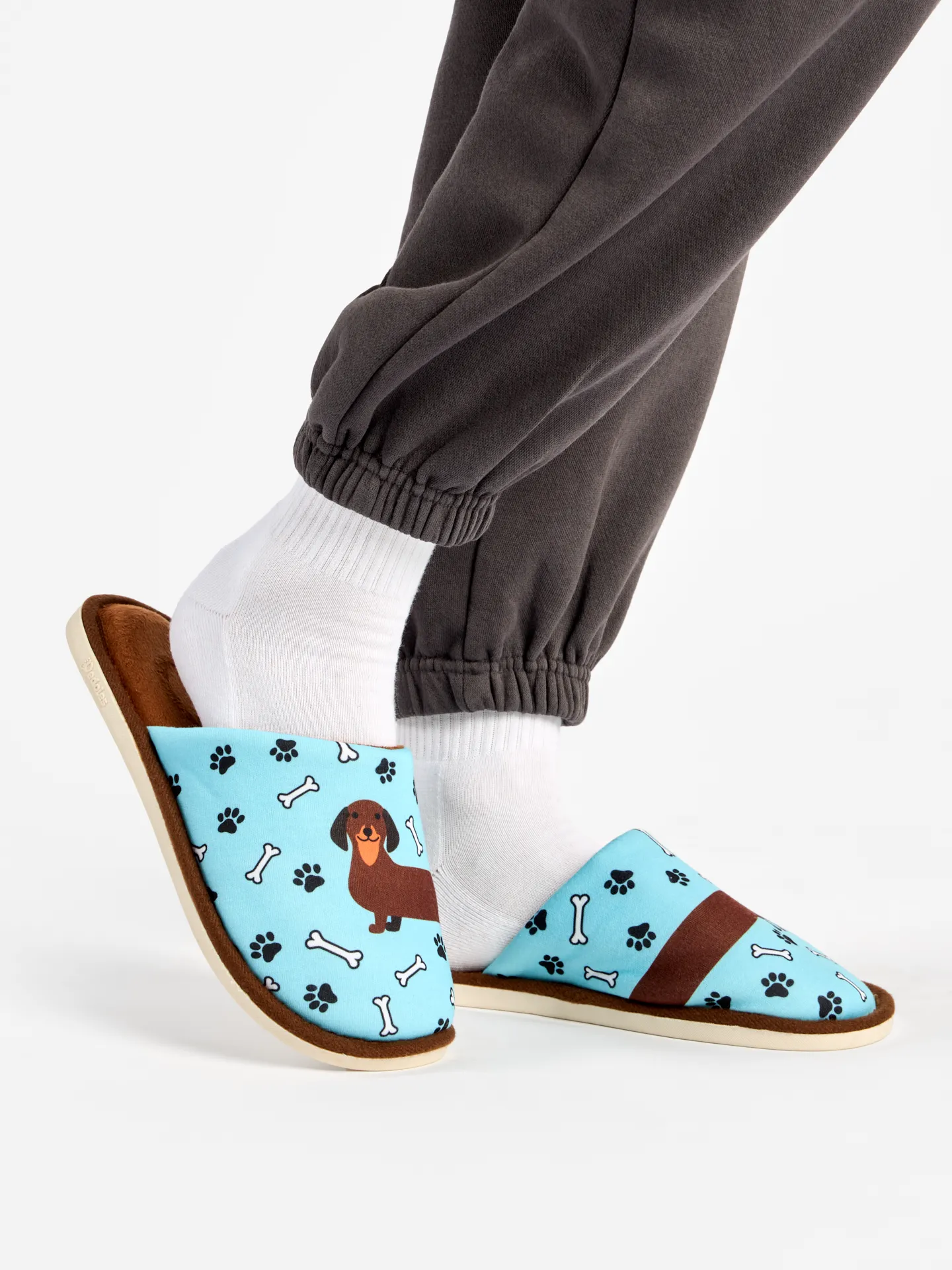 Vrolijke slippers Lange teckel - Image 5