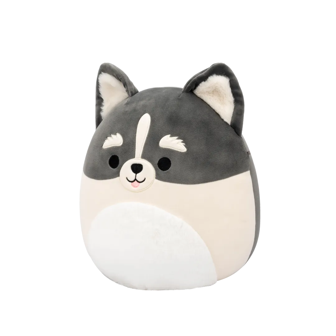 Squishmallows Paolo de grijs-witte pomsky, 30 cm - Image 2